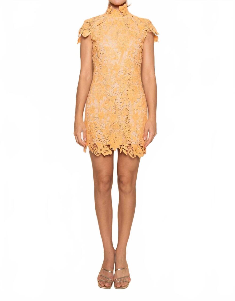 NEW FORE COLLECTION andrea lace dress in orange